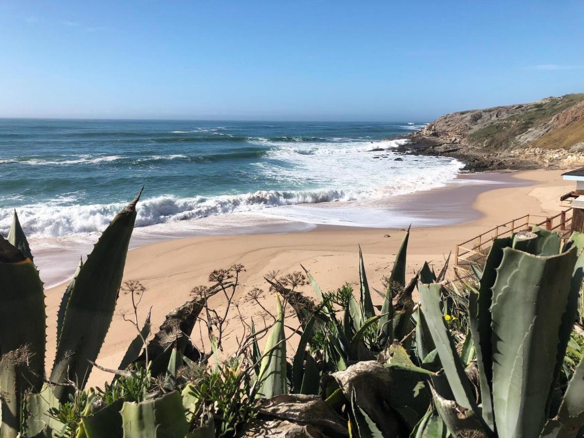 Casa Jardim Peniche Bed & Breakfast São Bernardino Eksteriør bilde